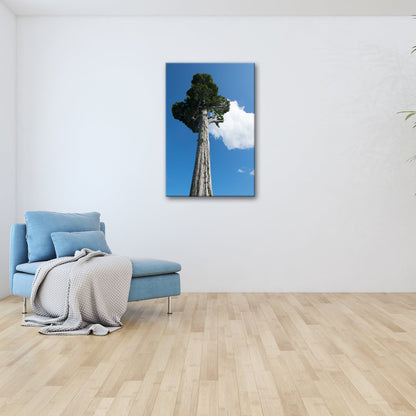 Leinwandbild Ein Riese aus Holz streckt sich in den Himmel. - deyoli