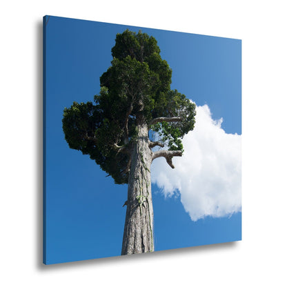 Leinwandbild Ein Riese aus Holz streckt sich in den Himmel. - deyoli