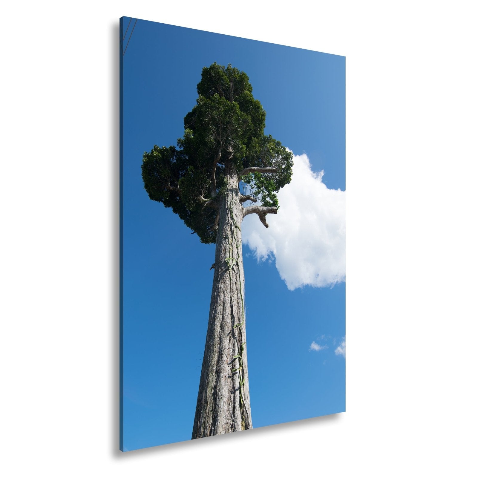 Leinwandbild Ein Riese aus Holz streckt sich in den Himmel. - deyoli