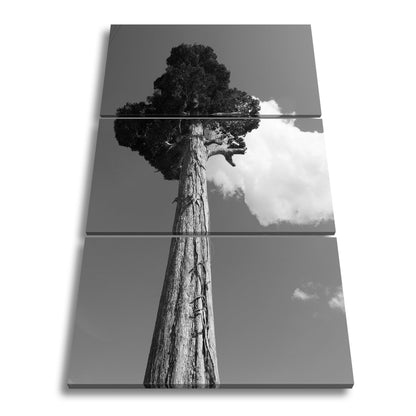 Leinwandbild Ein Riese aus Holz streckt sich in den Himmel. - deyoli