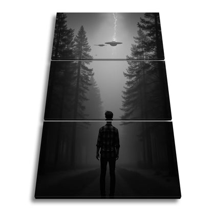 Leinwandbild Ein roter Himmel, Ufos und Staunen im düsteren Wald. - deyoli