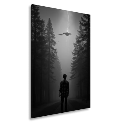 Leinwandbild Ein roter Himmel, Ufos und Staunen im düsteren Wald. - deyoli