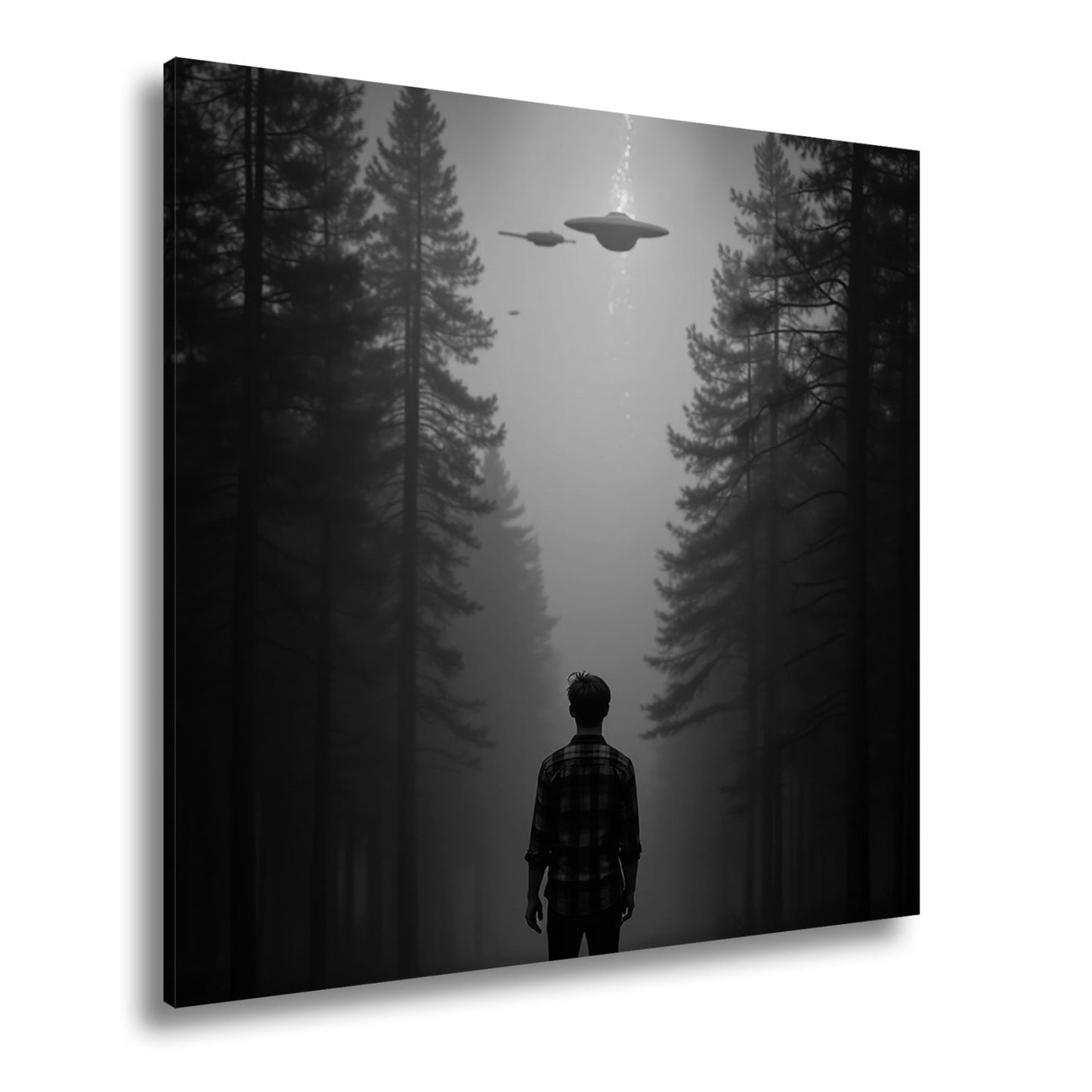 Leinwandbild Ein roter Himmel, Ufos und Staunen im düsteren Wald. - deyoli