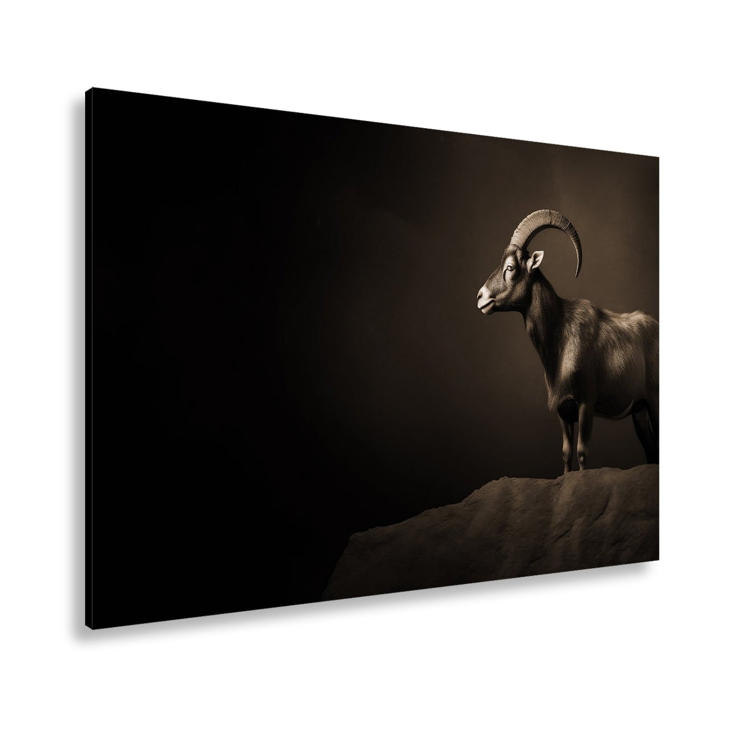 Leinwandbild Ein stolzer Steinbock steht still im dramatischen Licht. - deyoli