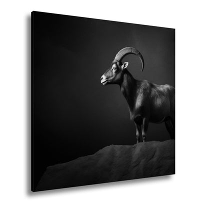 Leinwandbild Ein stolzer Steinbock steht still im dramatischen Licht. - deyoli