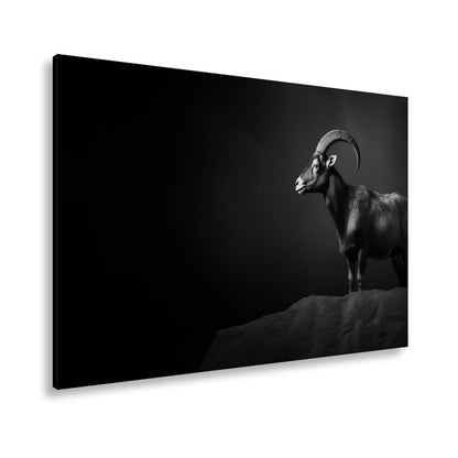 Leinwandbild Ein stolzer Steinbock steht still im dramatischen Licht. - deyoli