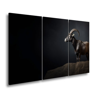 Leinwandbild Ein stolzer Steinbock steht still im dramatischen Licht. - deyoli