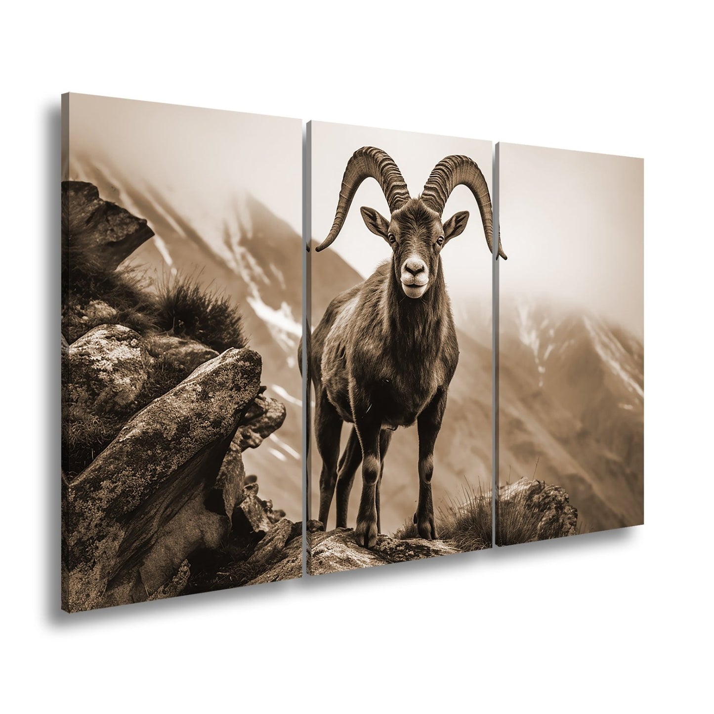 Leinwandbild Ein stolzer Steinbock vor majestätischer Bergkulisse. - deyoli