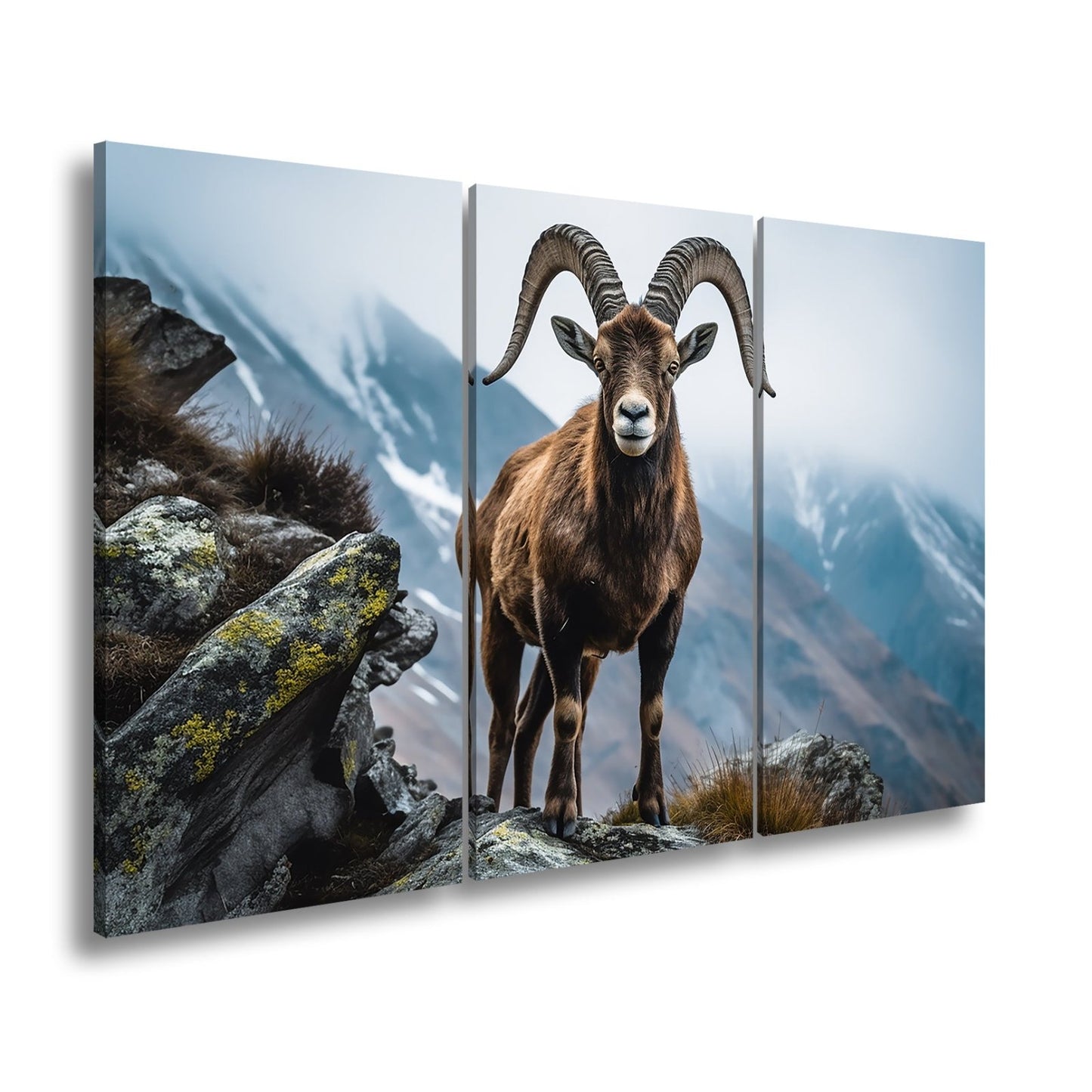 Leinwandbild Ein stolzer Steinbock vor majestätischer Bergkulisse. - deyoli