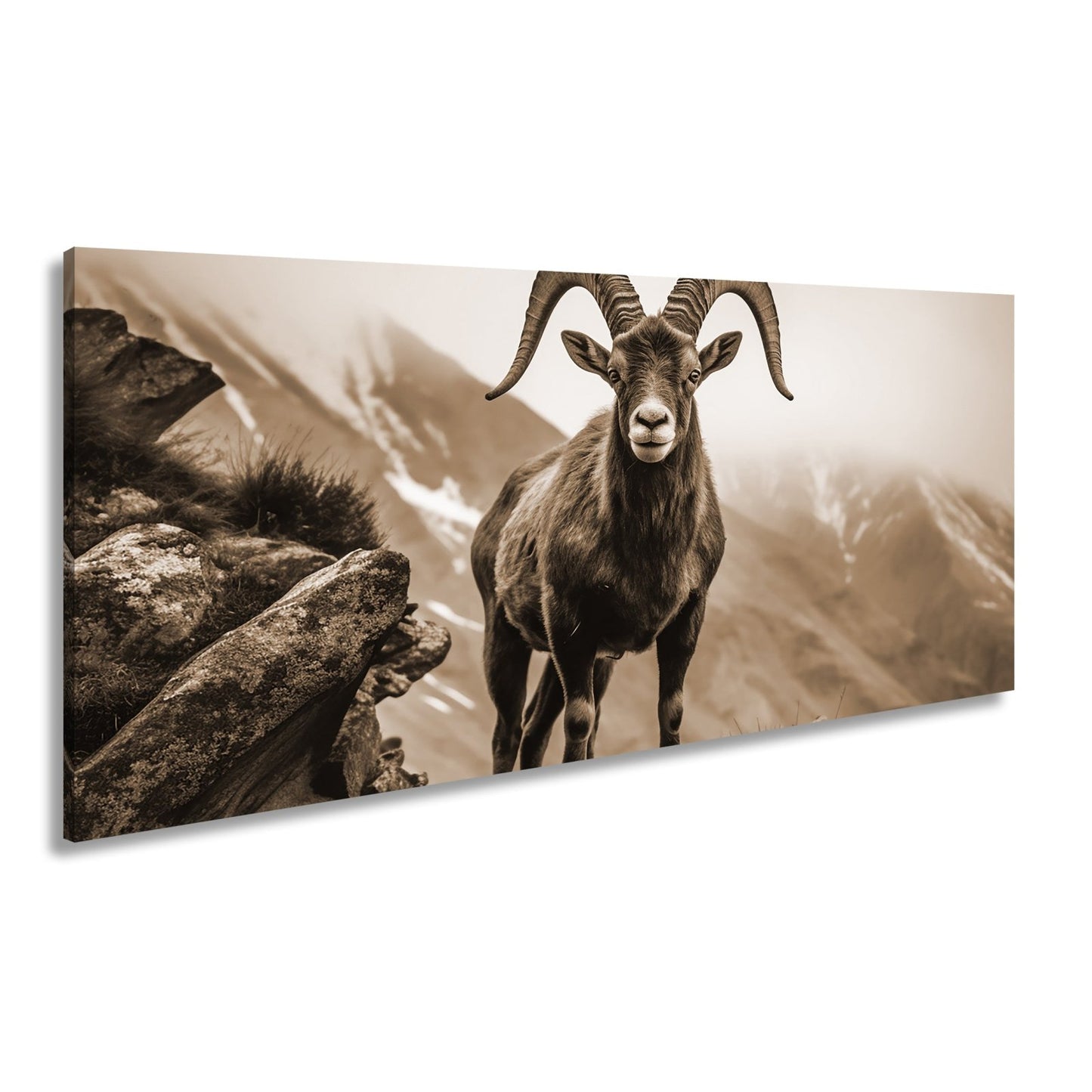 Leinwandbild Ein stolzer Steinbock vor majestätischer Bergkulisse. - deyoli