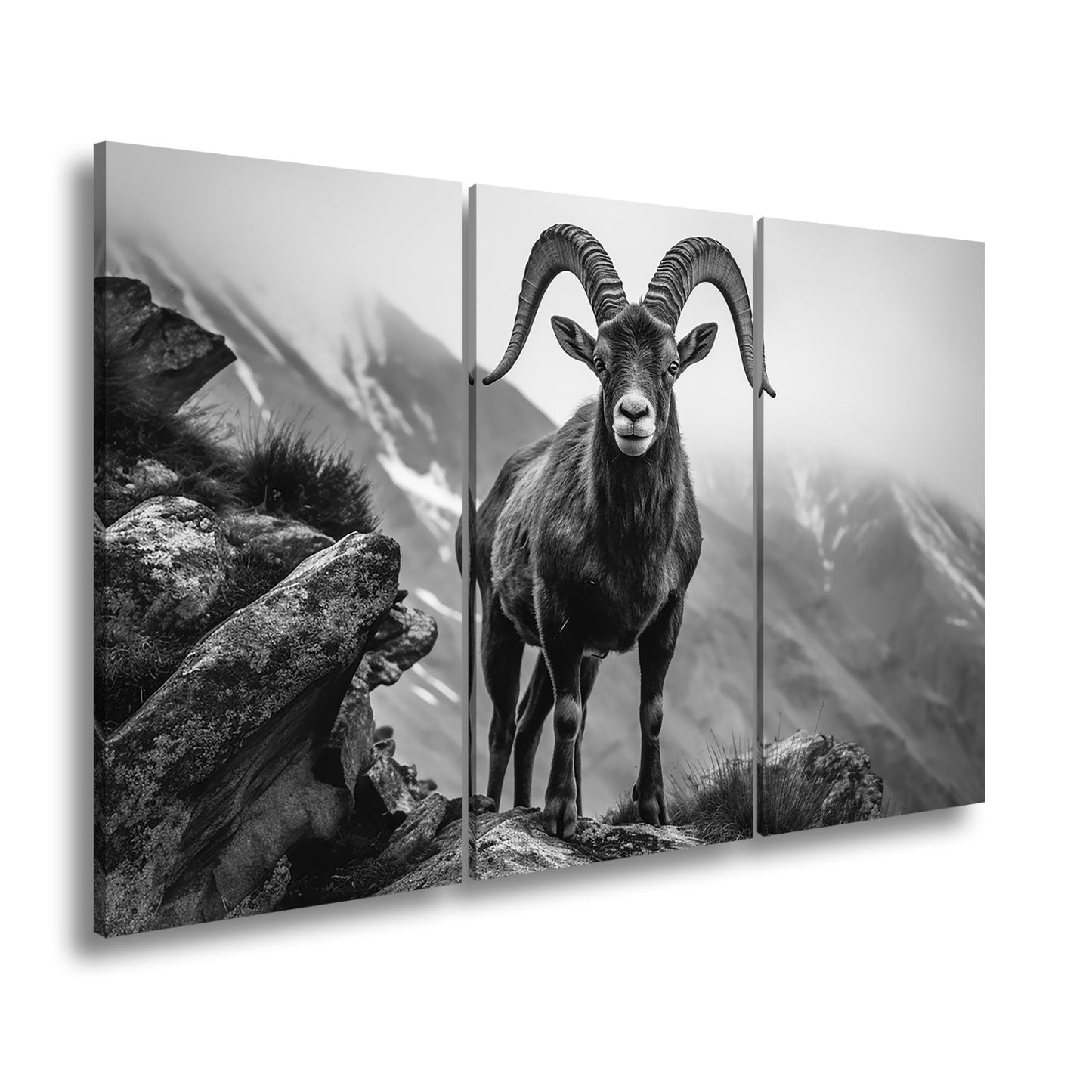 Leinwandbild Ein stolzer Steinbock vor majestätischer Bergkulisse. - deyoli