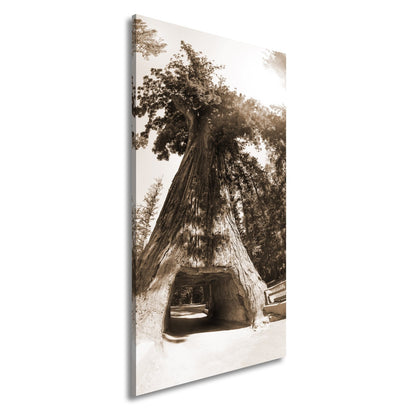 Leinwandbild Ein Tor im Baum – Natur wird zur Passage. - deyoli