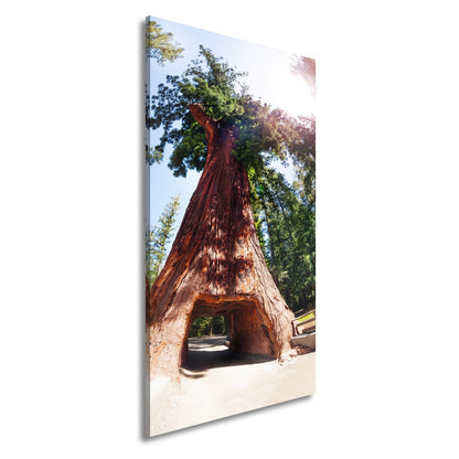 Leinwandbild Ein Tor im Baum – Natur wird zur Passage. - deyoli