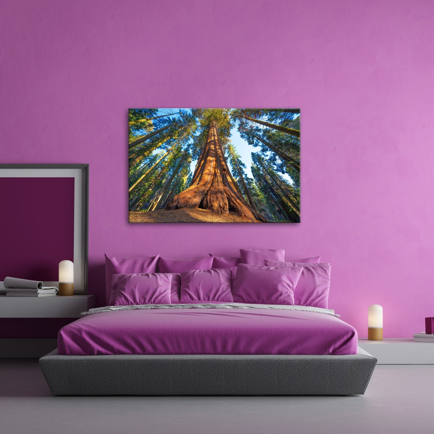 Leinwandbild Ein Waldgigant im Lichtspiel des Morgens. - deyoli