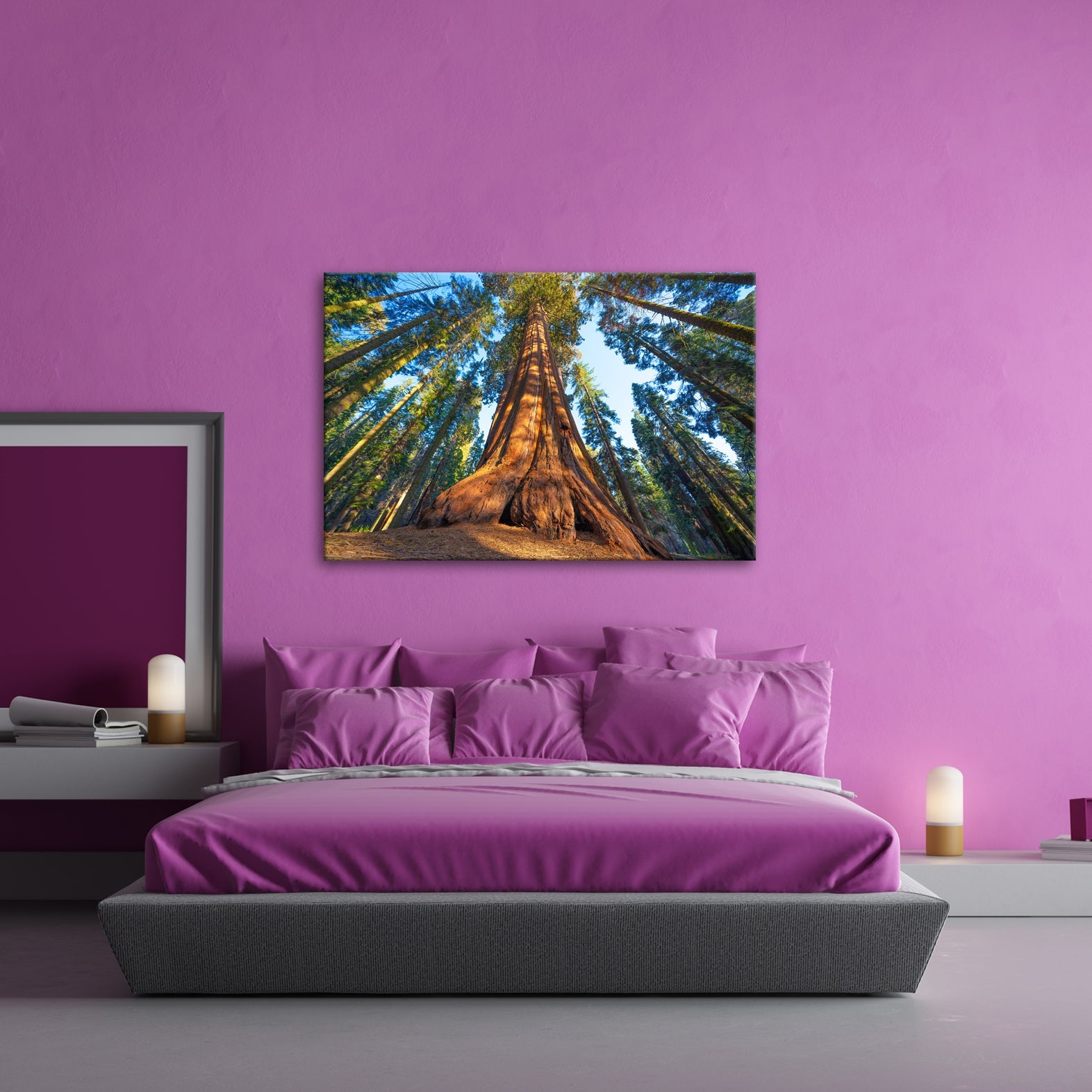Leinwandbild Ein Waldgigant im Lichtspiel des Morgens. - deyoli