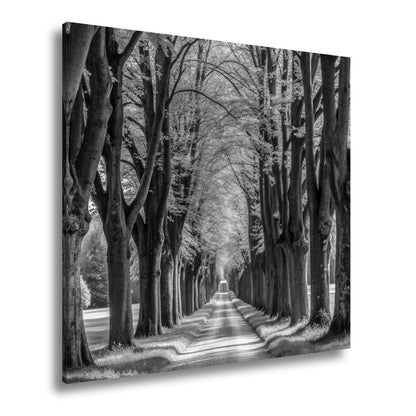 Leinwandbild Ein Weg aus Licht unter grünem Blätterdach der Ruhe. - deyoli