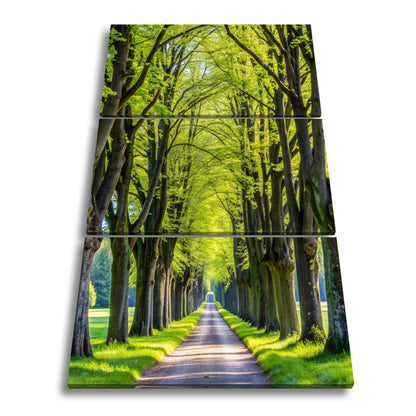 Leinwandbild Ein Weg aus Licht unter grünem Blätterdach der Ruhe. - deyoli