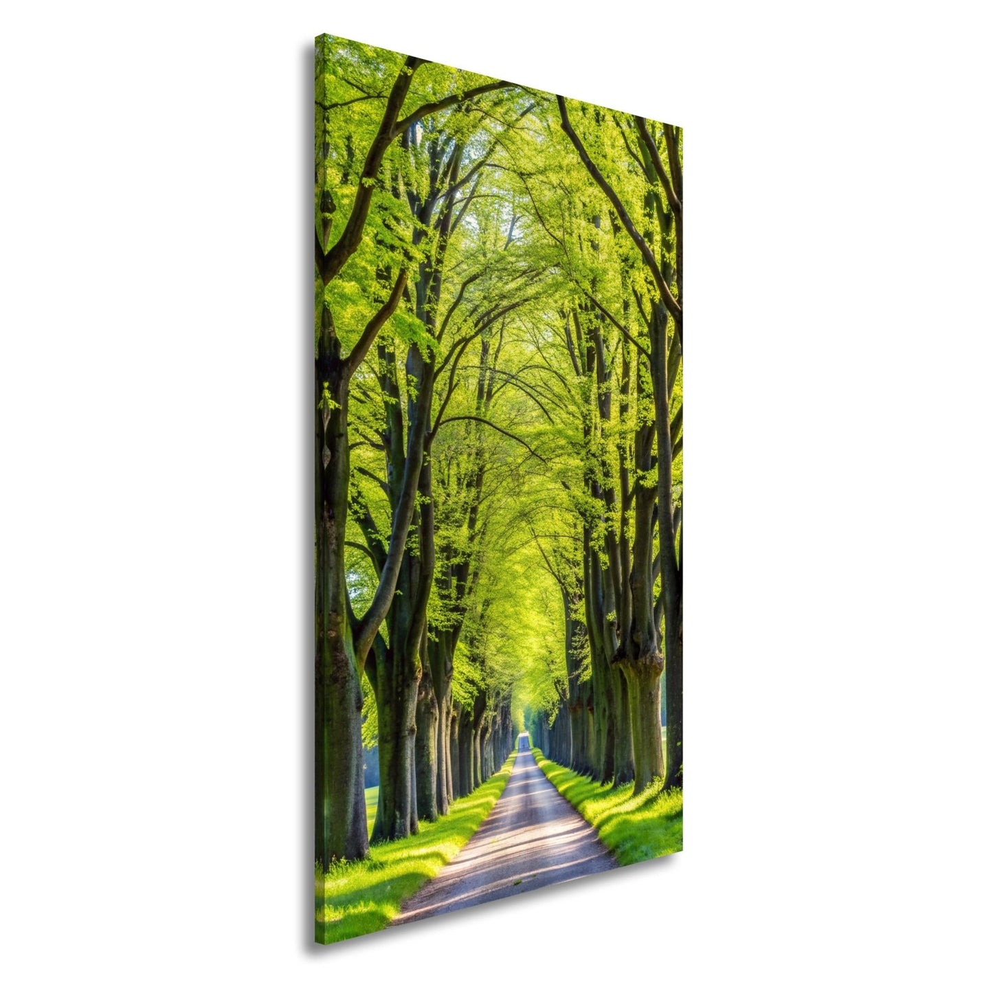 Leinwandbild Ein Weg aus Licht unter grünem Blätterdach der Ruhe. - deyoli