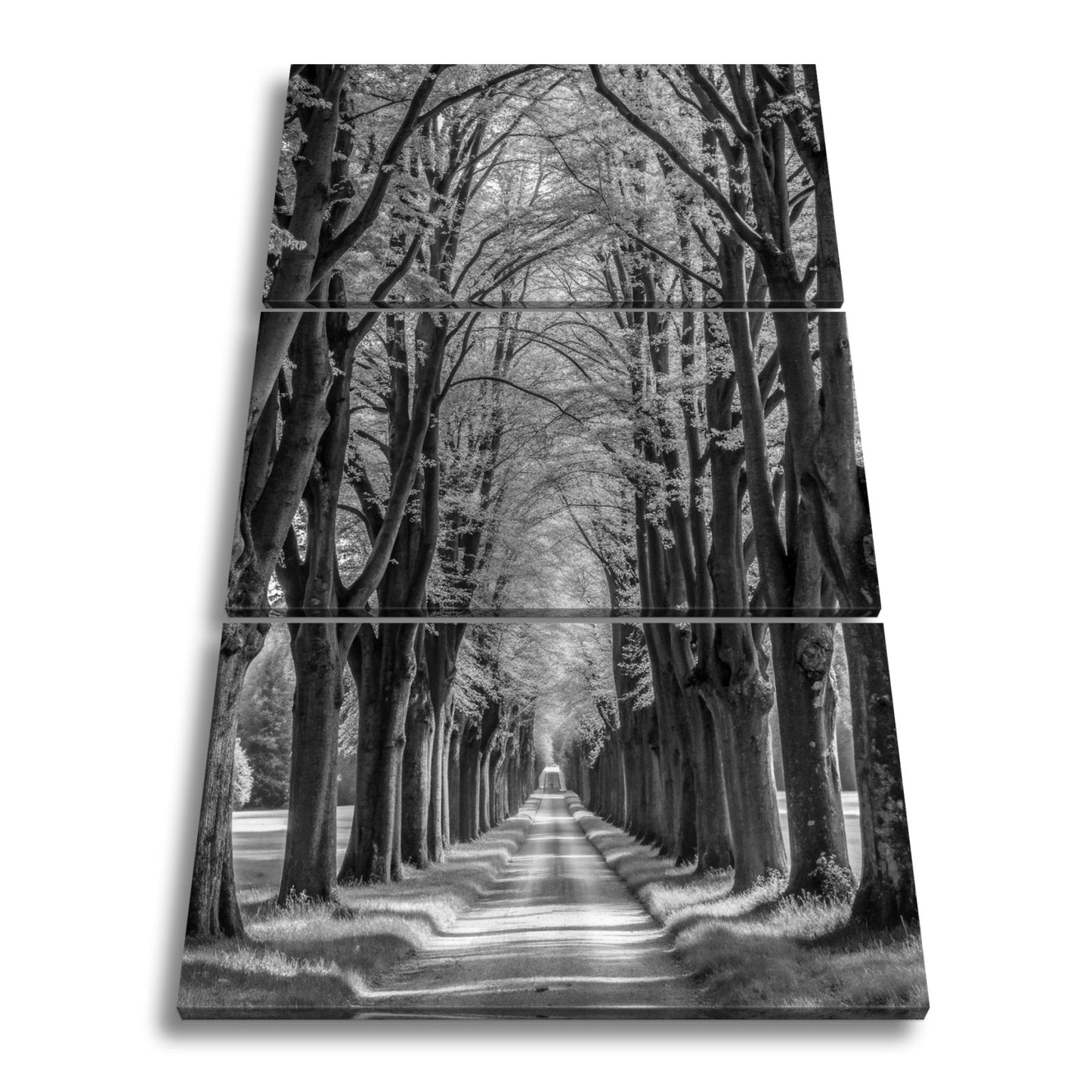 Leinwandbild Ein Weg aus Licht unter grünem Blätterdach der Ruhe. - deyoli