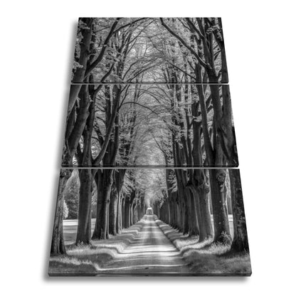 Leinwandbild Ein Weg aus Licht unter grünem Blätterdach der Ruhe. - deyoli