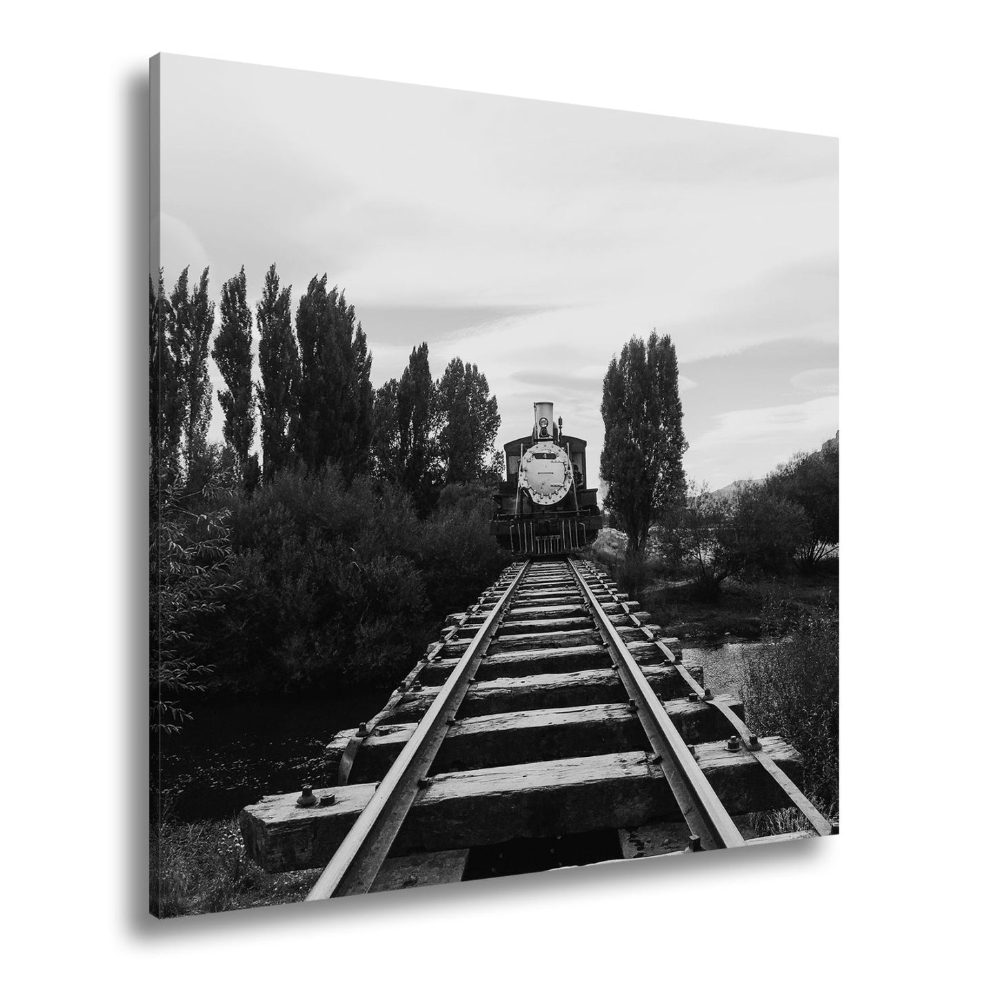 Leinwandbild Ein Zug, der direkt in die Stille der Natur fährt. - deyoli
