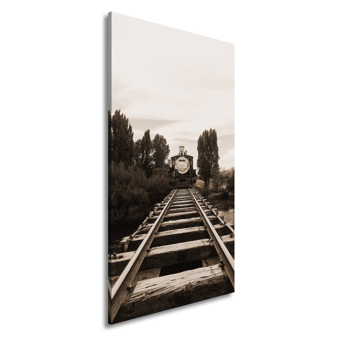 Leinwandbild Ein Zug, der direkt in die Stille der Natur fährt. - deyoli