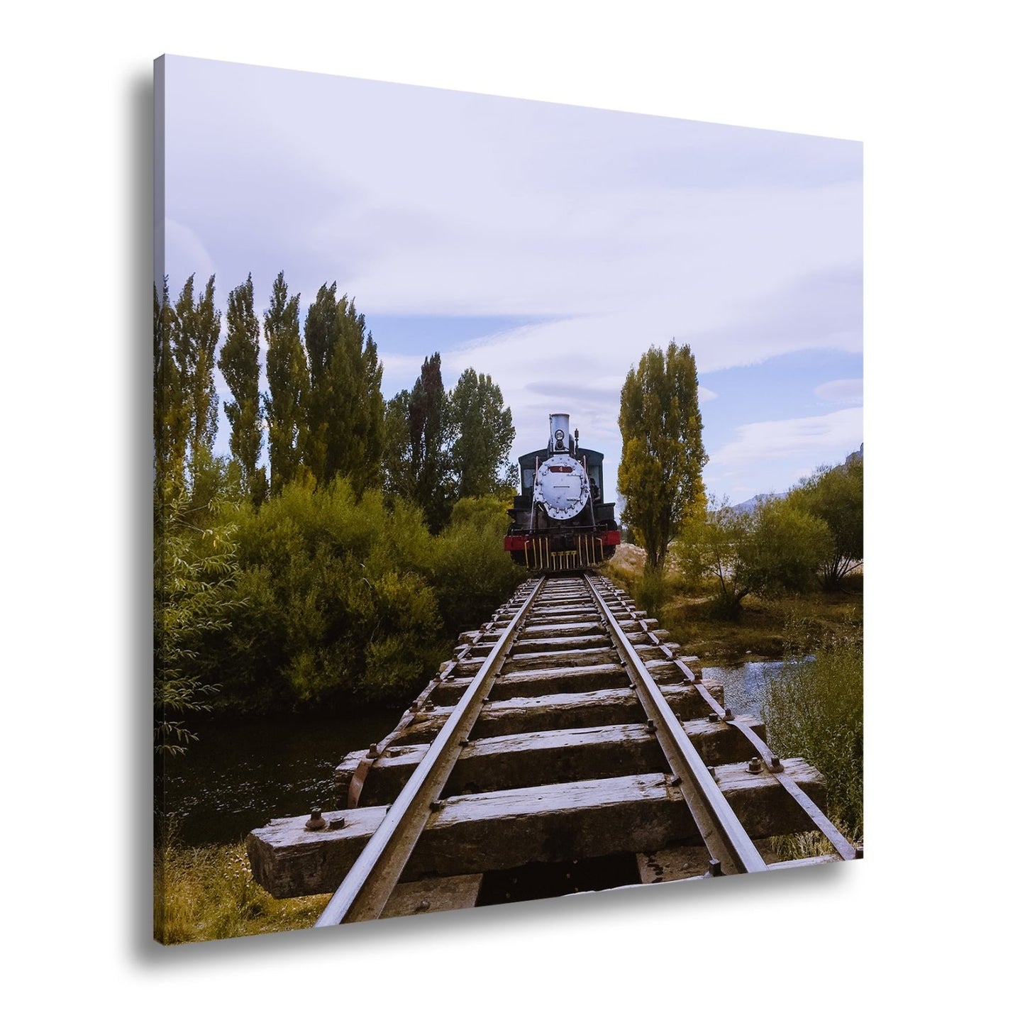 Leinwandbild Ein Zug, der direkt in die Stille der Natur fährt. - deyoli