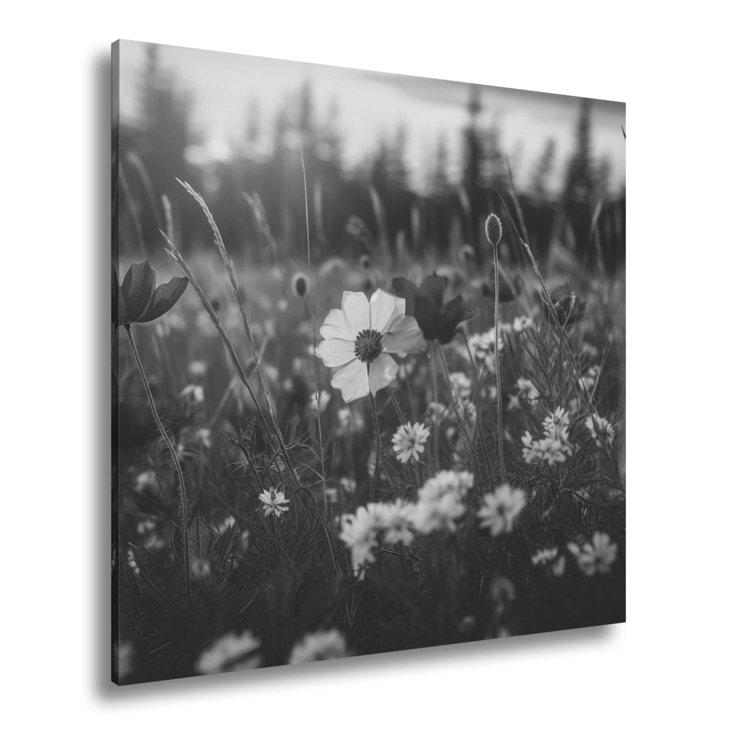 Leinwandbild Einzigartig – eine weiße Blume in rotem Mohnmeer. - deyoli