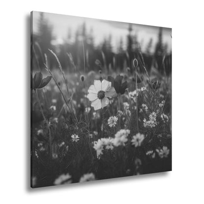 Leinwandbild Einzigartig – eine weiße Blume in rotem Mohnmeer. - deyoli