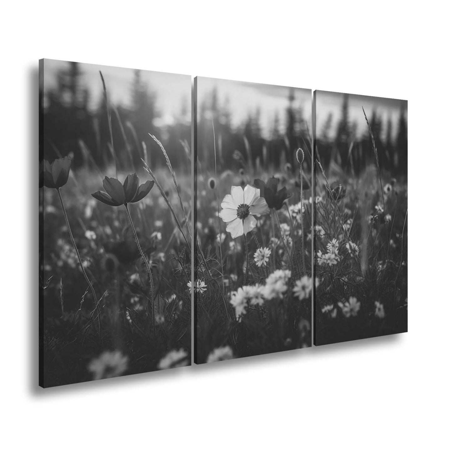 Leinwandbild Einzigartig – eine weiße Blume in rotem Mohnmeer. - deyoli