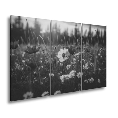 Leinwandbild Einzigartig – eine weiße Blume in rotem Mohnmeer. - deyoli