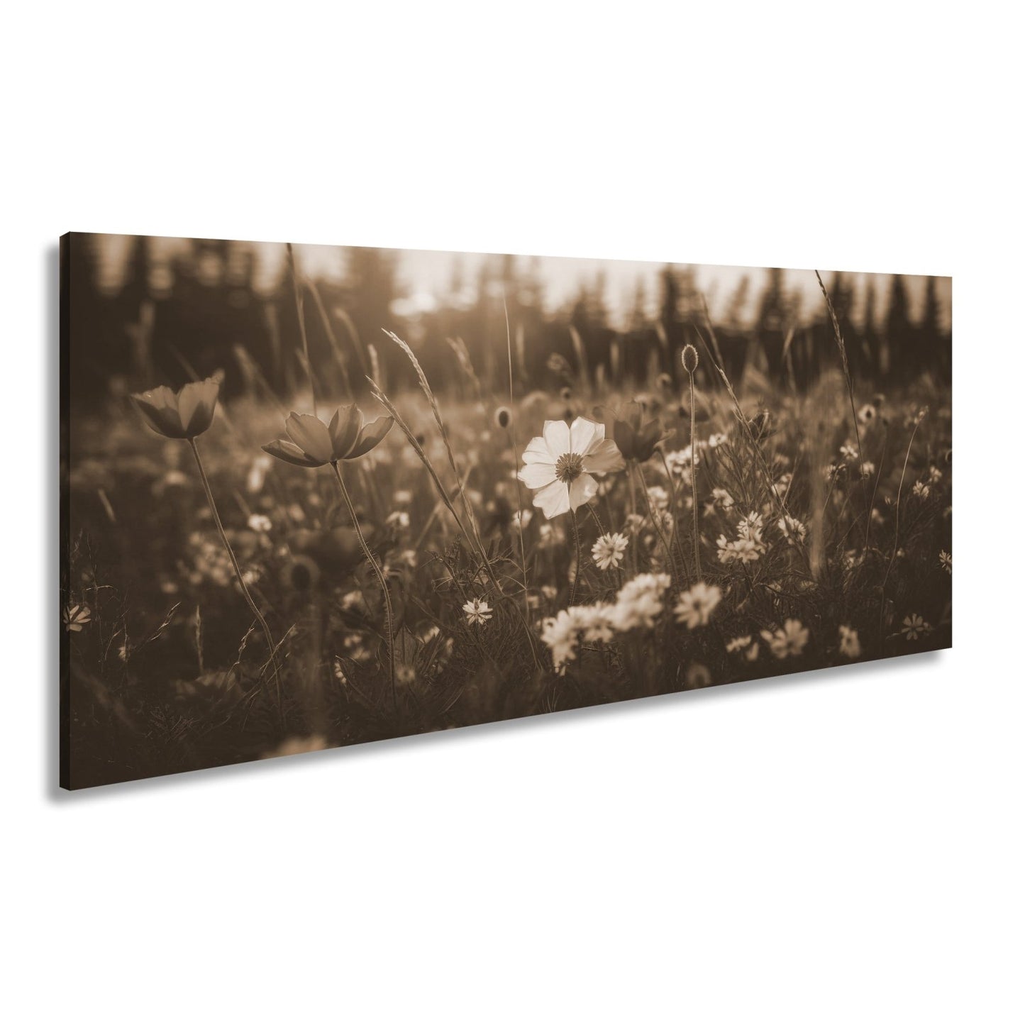 Leinwandbild Einzigartig – eine weiße Blume in rotem Mohnmeer. - deyoli
