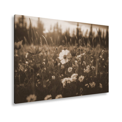 Leinwandbild Einzigartig – eine weiße Blume in rotem Mohnmeer. - deyoli