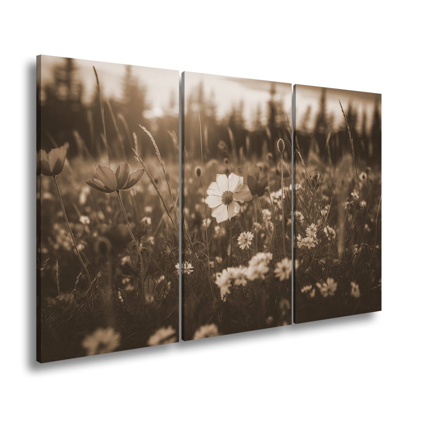 Leinwandbild Einzigartig – eine weiße Blume in rotem Mohnmeer. - deyoli