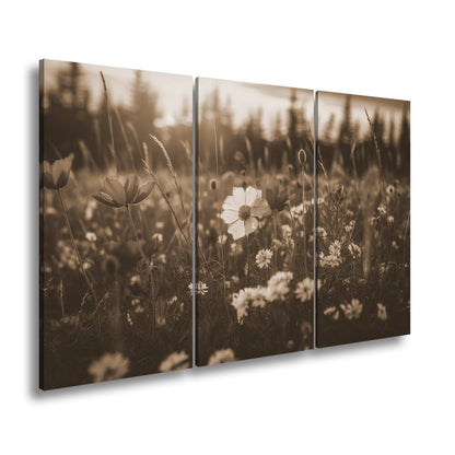 Leinwandbild Einzigartig – eine weiße Blume in rotem Mohnmeer. - deyoli