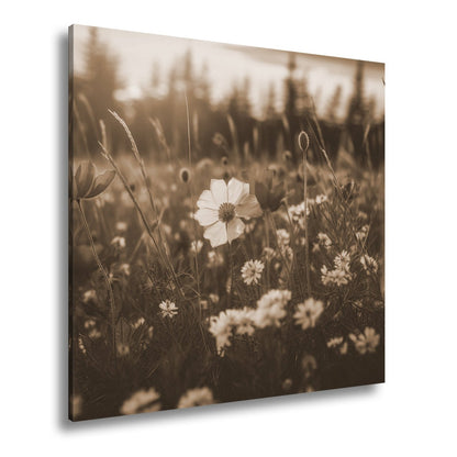 Leinwandbild Einzigartig – eine weiße Blume in rotem Mohnmeer. - deyoli