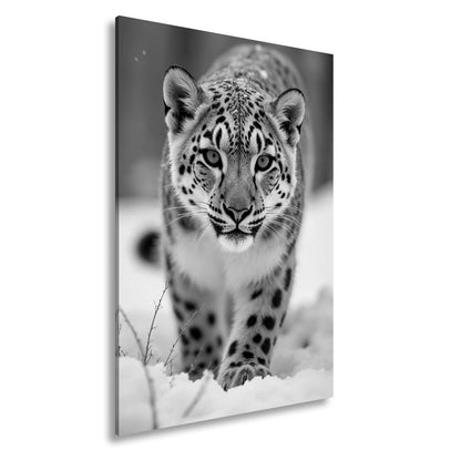 Leinwandbild Eisiger Blick – Schneeleopard mit Augen aus Blau. - deyoli