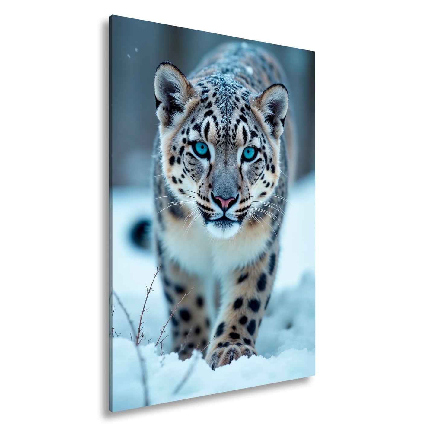 Leinwandbild Eisiger Blick – Schneeleopard mit Augen aus Blau. - deyoli
