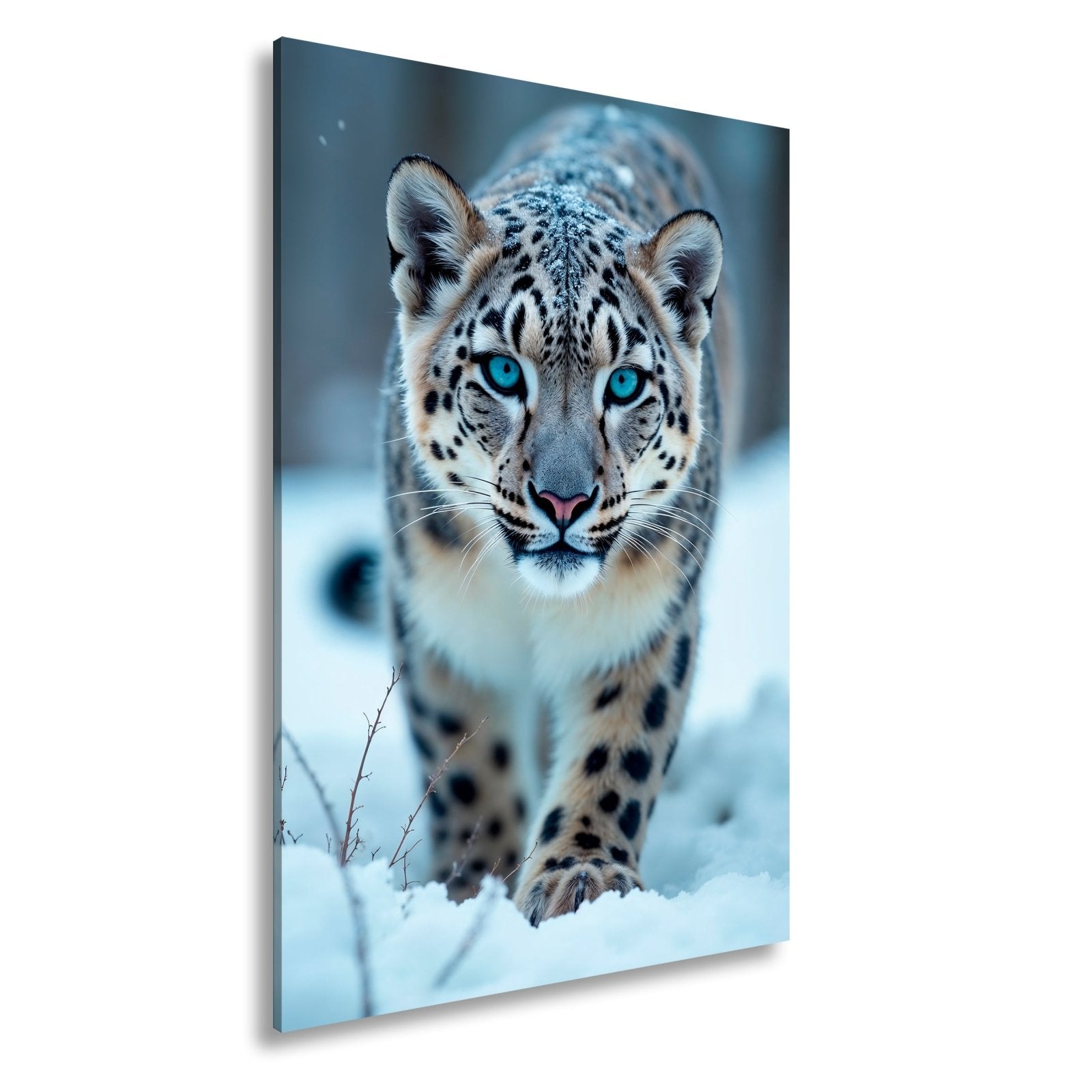 Leinwandbild Eisiger Blick – Schneeleopard mit Augen aus Blau. - deyoli