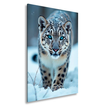 Leinwandbild Eisiger Blick – Schneeleopard mit Augen aus Blau. - deyoli