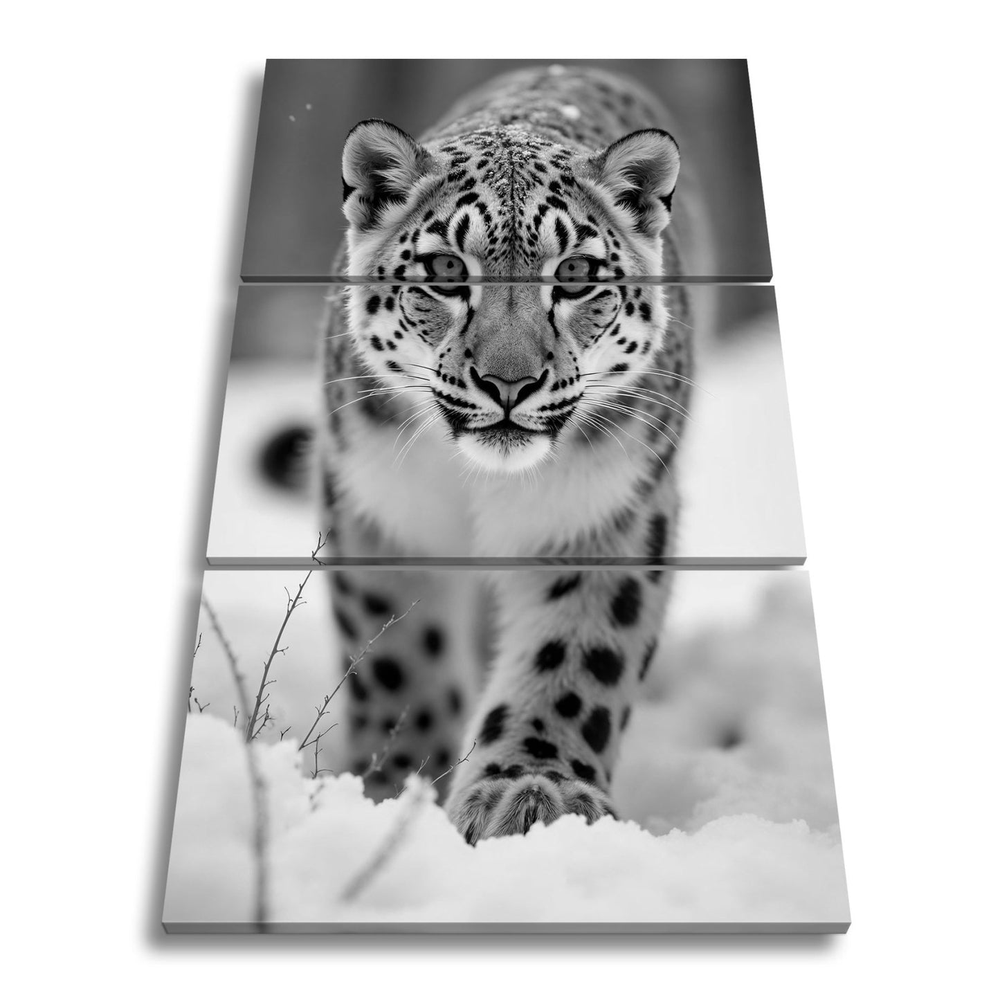 Leinwandbild Eisiger Blick – Schneeleopard mit Augen aus Blau. - deyoli