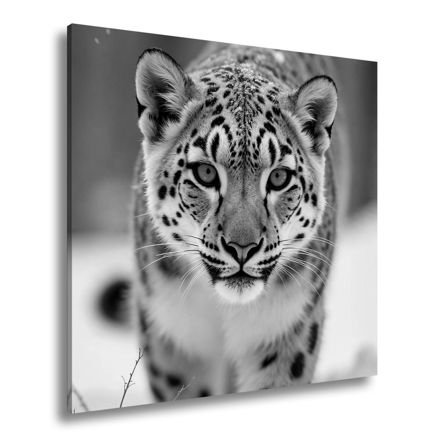 Leinwandbild Eisiger Blick – Schneeleopard mit Augen aus Blau. - deyoli