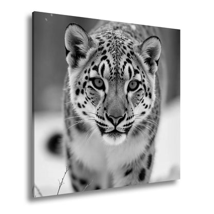 Leinwandbild Eisiger Blick – Schneeleopard mit Augen aus Blau. - deyoli