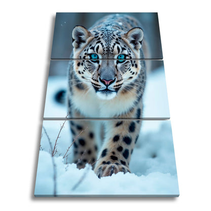 Leinwandbild Eisiger Blick – Schneeleopard mit Augen aus Blau. - deyoli