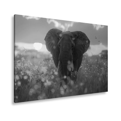 Leinwandbild Elefant im Glanz der Savanne – majestätisch und nah. - deyoli