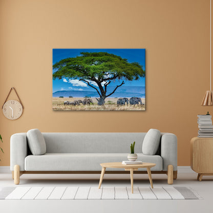 Leinwandbild Elefantenherde wandert ruhig unter einer schützenden Akazie - deyoli