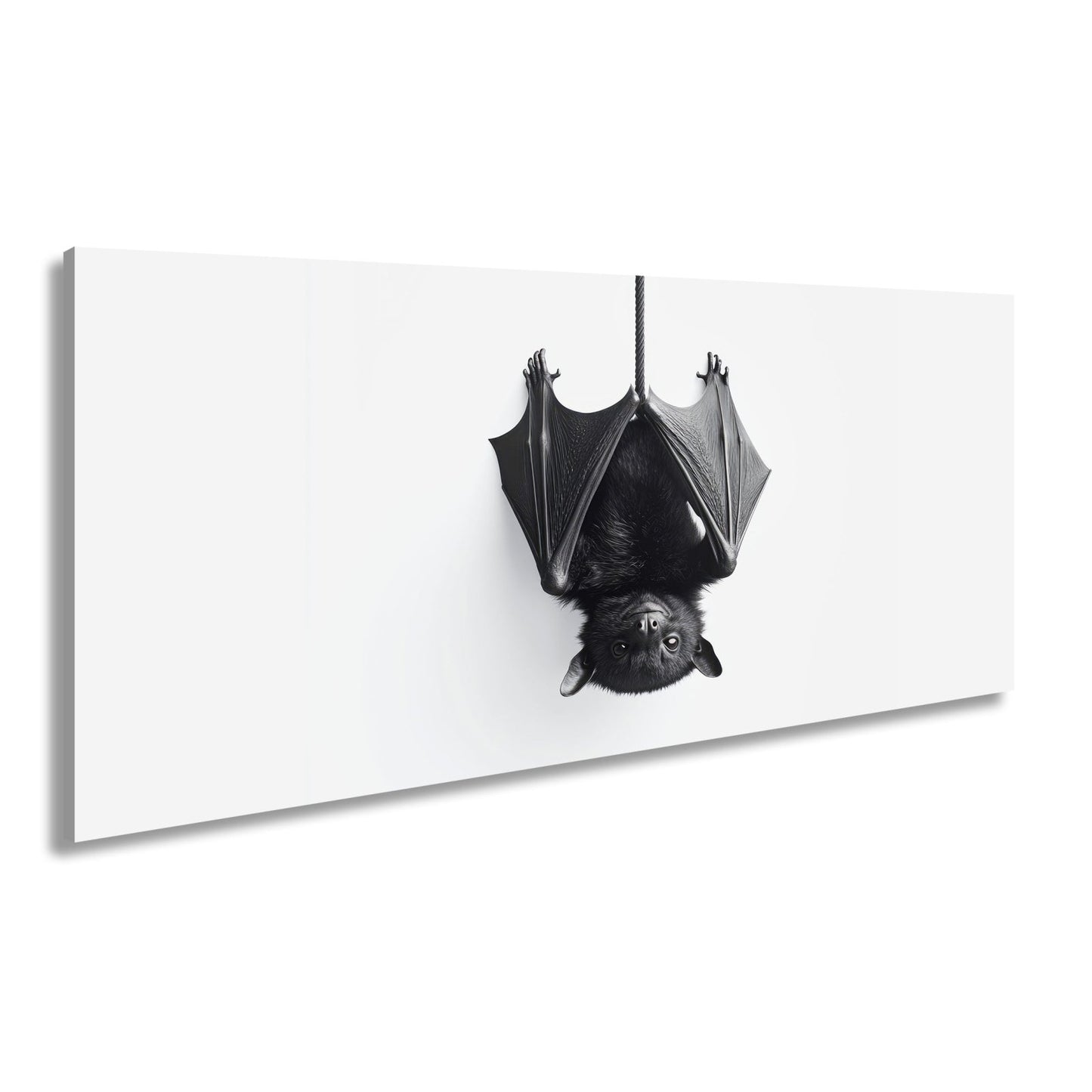 Leinwandbild Elegante Fledermaus hängt still im weißen Raum - deyoli