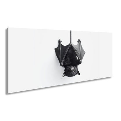 Leinwandbild Elegante Fledermaus hängt still im weißen Raum - deyoli