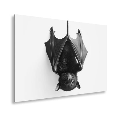 Leinwandbild Elegante Fledermaus hängt still im weißen Raum - deyoli