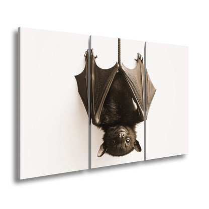 Leinwandbild Elegante Fledermaus hängt still im weißen Raum - deyoli
